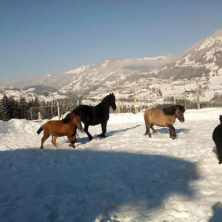 Appartamento Weidinghof Sankt Veit im Pongau Esterno foto