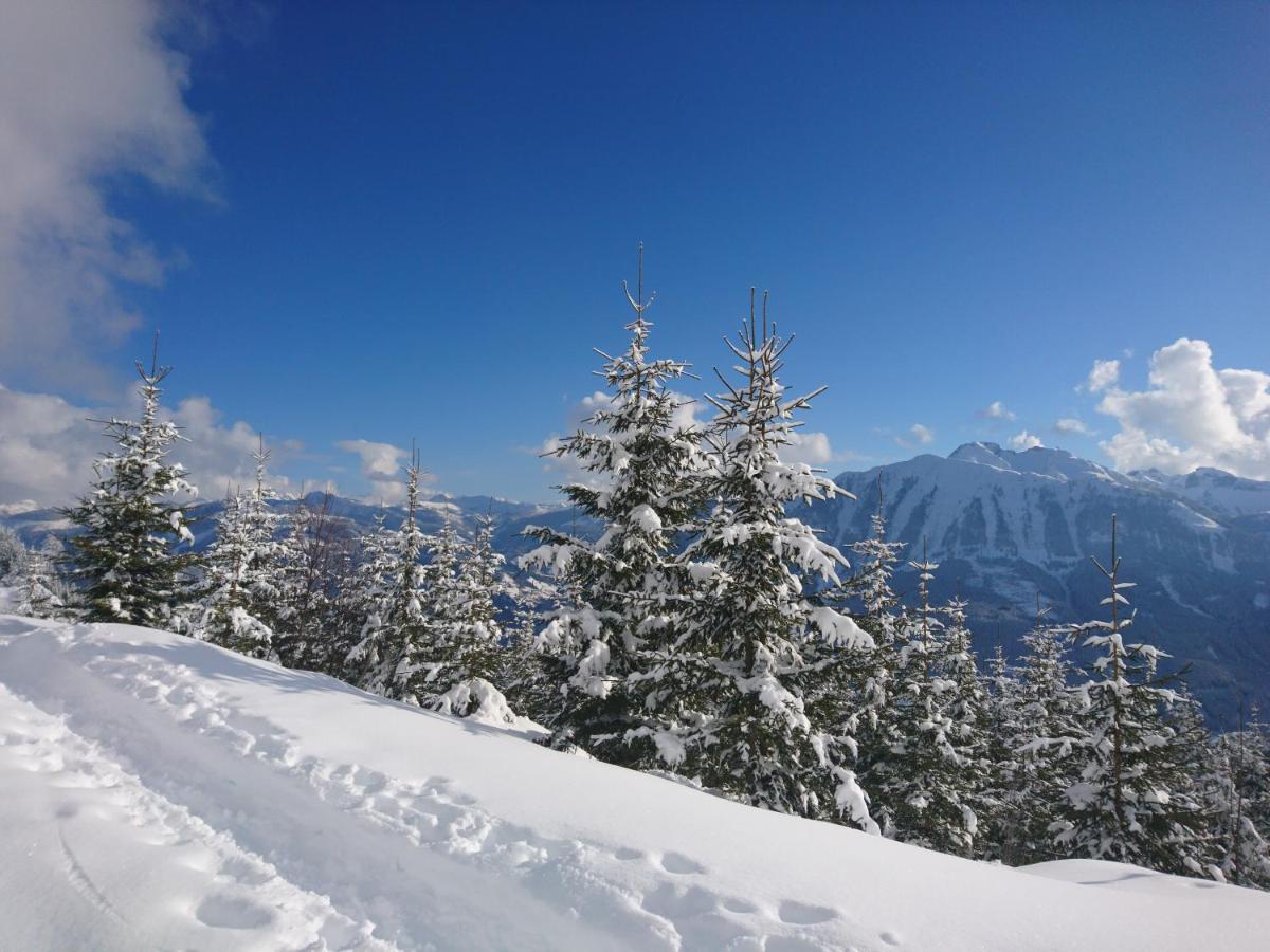 Appartamento Weidinghof Sankt Veit im Pongau Esterno foto