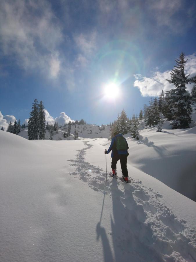Appartamento Weidinghof Sankt Veit im Pongau Esterno foto