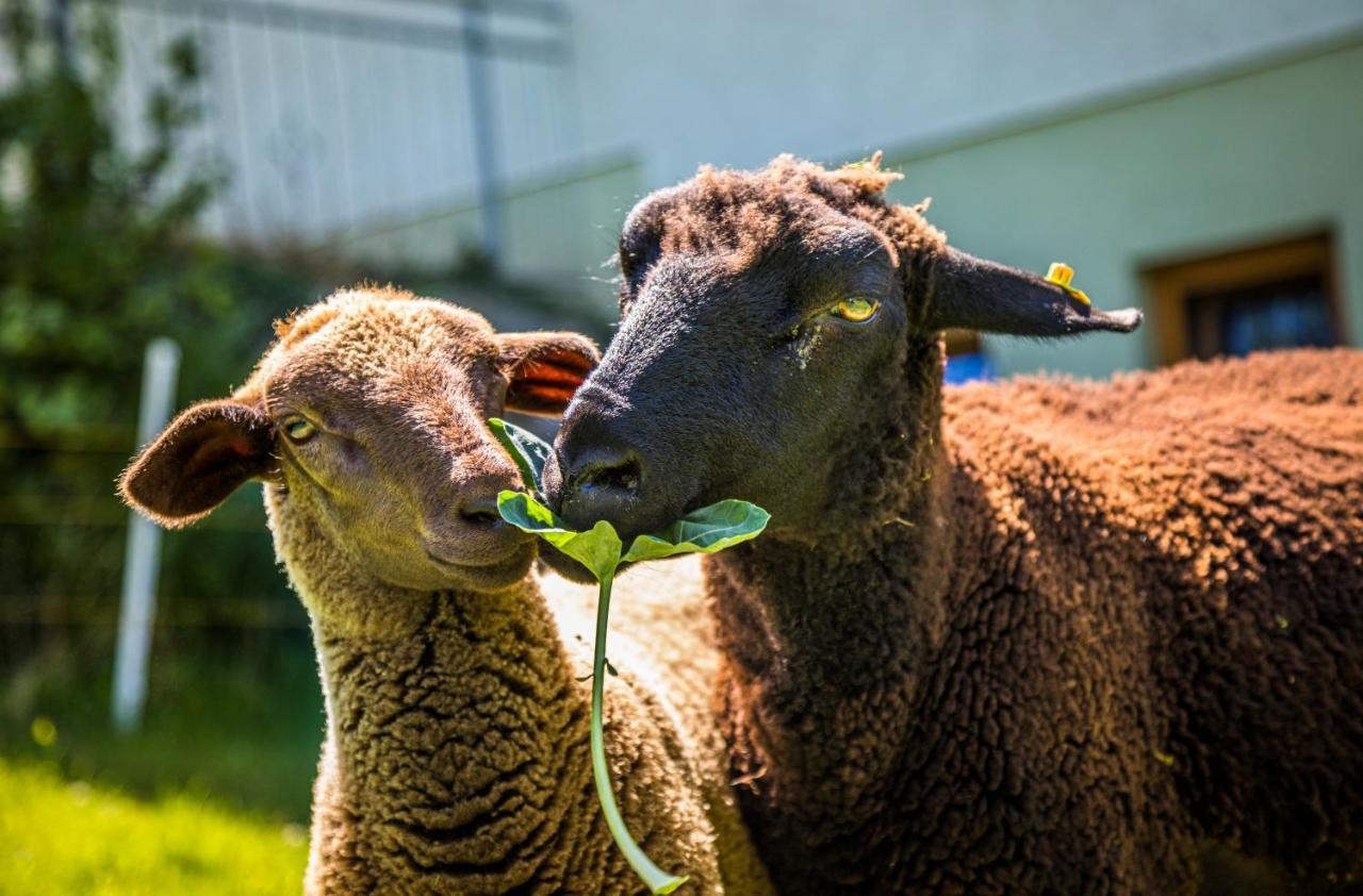 Appartamento Weidinghof Sankt Veit im Pongau Esterno foto